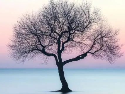 Let Go Of Perfectionism | A 6 Minute Meditation