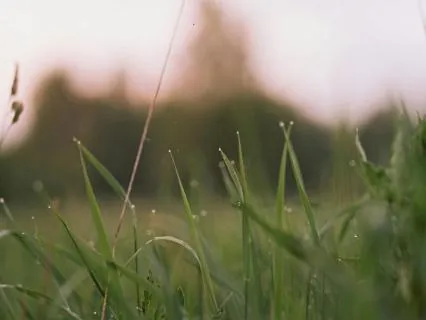 Let Go Of Self-Judgment And Find Inner Peace With Reiki