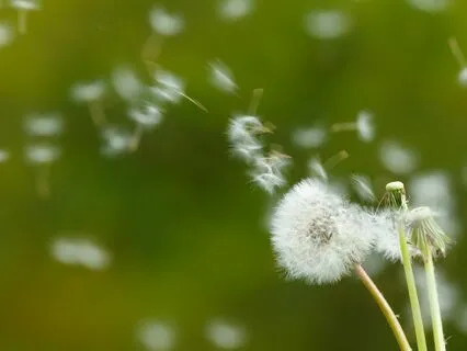 Let Go Of Stress And Anxiety