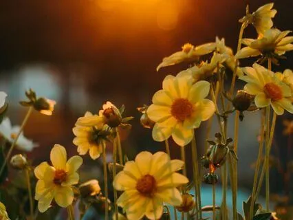 Feel Happier - EFT Tapping For Joy And Stress Release