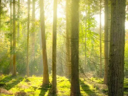 Let Go Of Stress Meditation