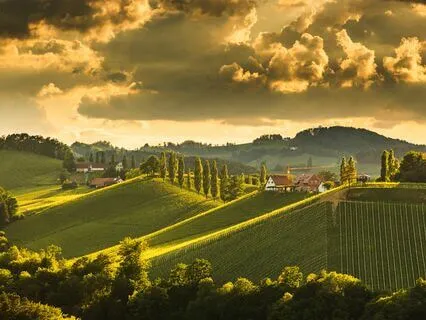 Let Go Of Stress: Relaxing Melodies