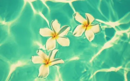 Let Go Of Stress With Mindful Breath