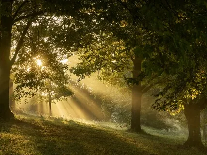 Let Go Of Struggle & Enjoy Your Life More - Meditation 21