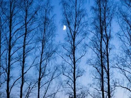 Let Go Of The Day: An Evening Meditation For Deep Rest