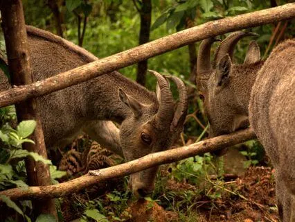 Let Go Of The Need To Be Right