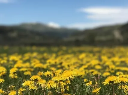 Let Go Of The Negative - See Beyond 