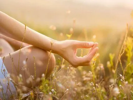 Let Go Of The Search And Find Purpose In The Present Moment