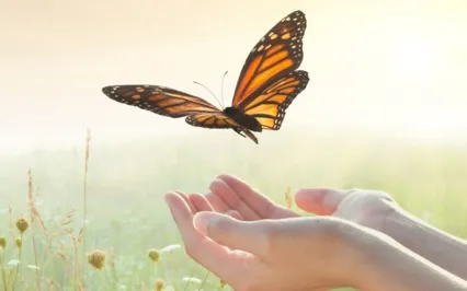 Let Go Of The 'Shoulds': Release Self-Doubt & Blame 