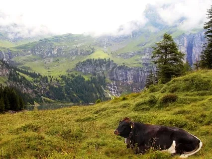 Let Go Of The Struggle To Be Right