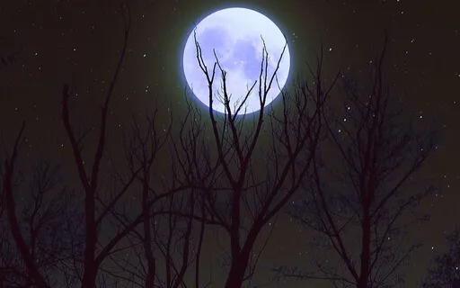 Let Go Of Thoughts And Sleep