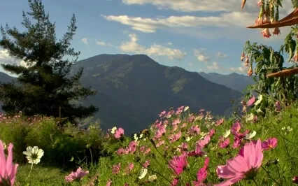 Let Go Of Unforgiveness