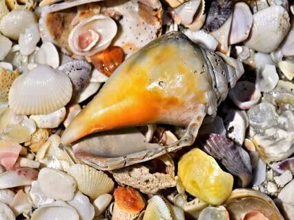 Let Go Of What Is Weighing You Down