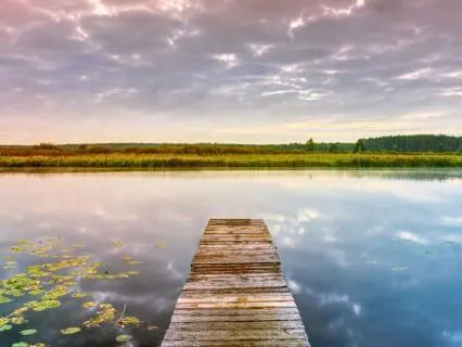 Let Go Of What Isn't Yours | Grounding Meditation | 29 Mins