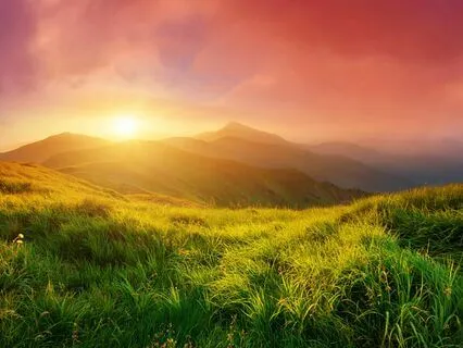 Let Go Of What No Longer Serves You! 999 Hz Tuning Fork