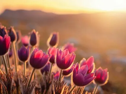 Let Go Of Worries And Troubles