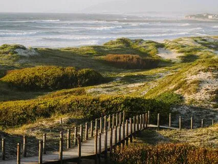 Let Go Of Worries: Music For Inner Calm