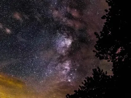 Let Go of Worry & Fall Asleep