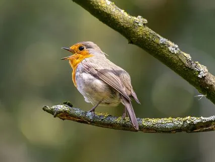 Let Go Of Worry And Relax