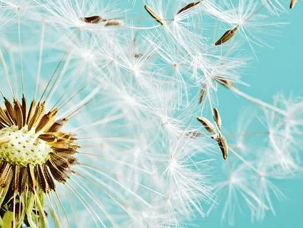 Let Go Of Your Armor (4 Min)