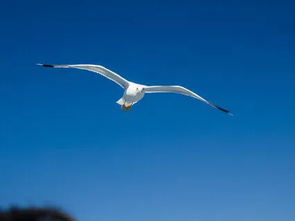 Let Go Of Your Baggage: Forgive Everyone