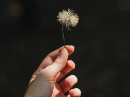 Let Go Of Your Story