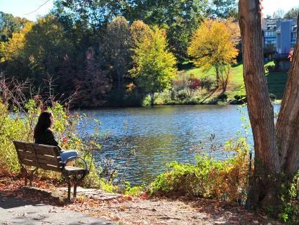 Let Go & Receive: 20min Practice For Stress Relief & Clarity