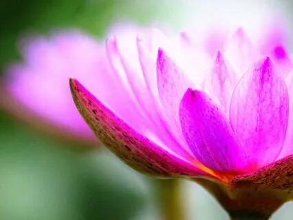 Let Go & Relax: Energy Healing For Flow And Inner Ease