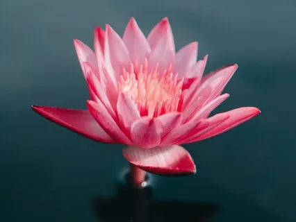 Let Go & See Life Differently