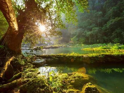 Let Go Stress: Calm Rest