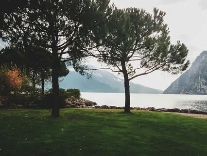 Let Go Symphony: Soothing Melodies