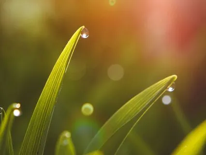 Let Go & Trust God: Morning Prayer For Liberation And Peace