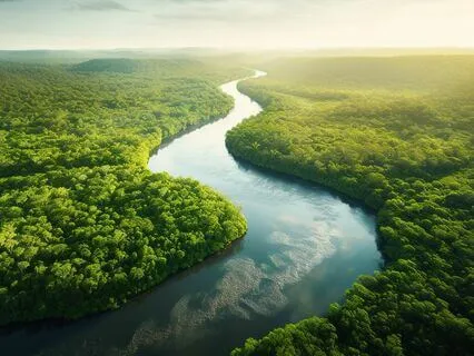 Let Go Worries: Root Chakra Solfeggio Healing Frequency