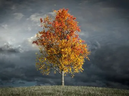 Let Go Of Negative Beliefs And Love Yourself Fiercely