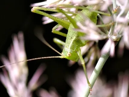 Let It All Go | Binaural Sound Meditation