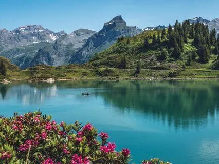 Let It Breathe: 9 Peaceful Minutes