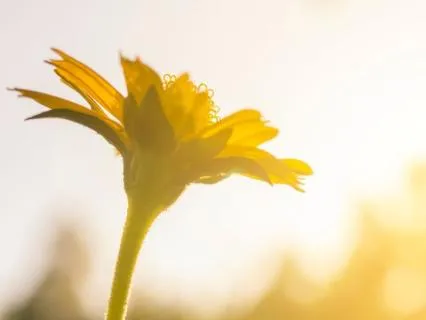 Let It Go: A Stress Release & Energy Clearing Meditation