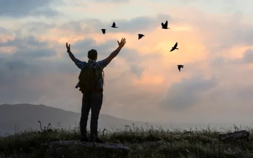 Let It Go. It's Time To Sleep.