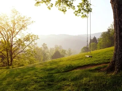 Let It Go Meditation (Grief And Loss) 