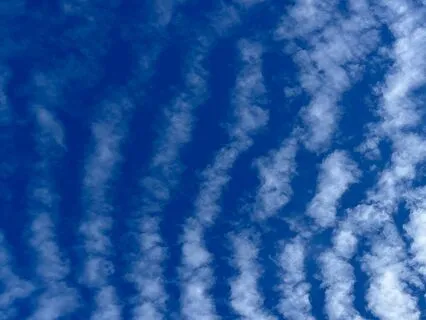 Let It Spill & See What Remains