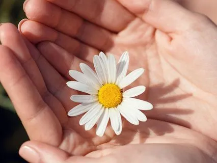 Let Life Flow Toward You