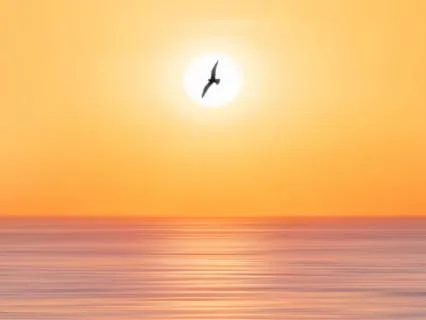 Let Life Hold You: Return To Breath, Body & Meaning