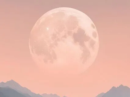 Let Life Lead: Anxiety Relief