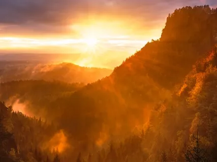 Let Love Be Your Guide