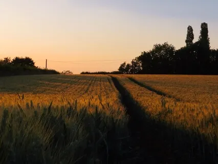 Let Love Change The World