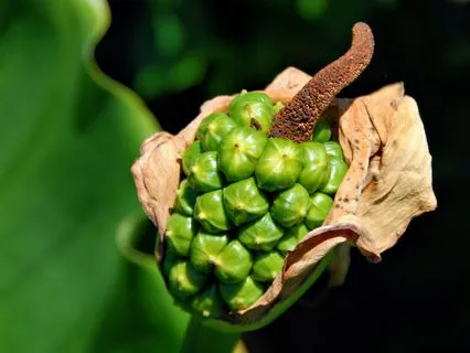 Let Love Speak Through You