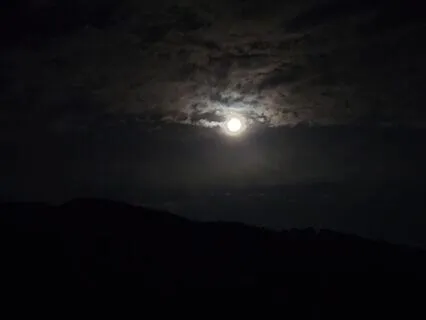 Let Me Dream A Little While