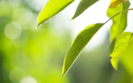 Let Me Show You Where Calm Is