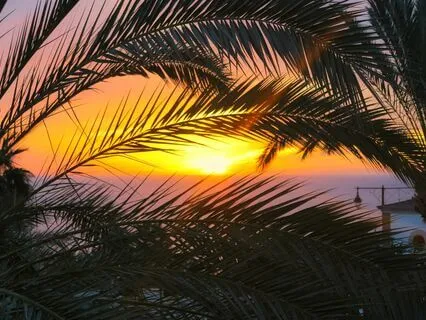 Let Mother Nature Soothe You To Sleep