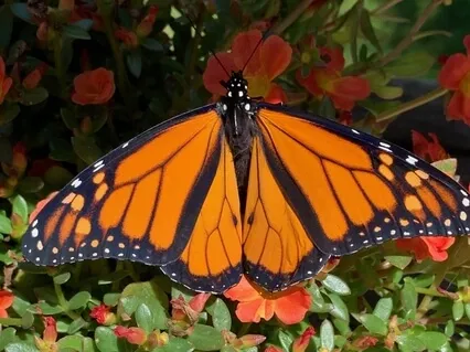 Let Nothing Disturb You